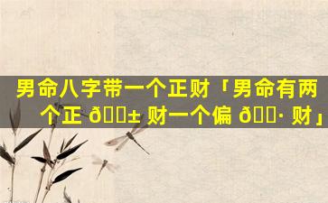 男命八字带一个正财「男命有两个正 🐱 财一个偏 🕷 财」